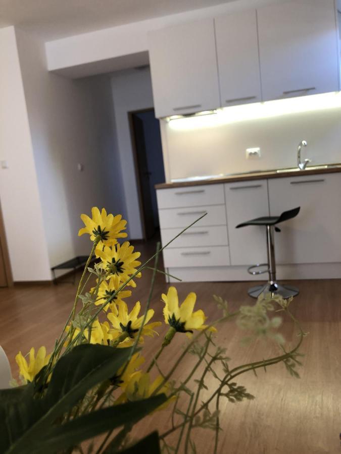 Aparthotel Elly 帕莫瑞 外观 照片